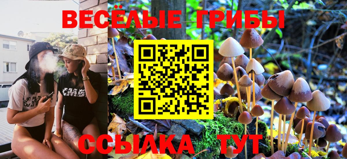 Галлюциногенные грибы Psilocybe Белая Калитва