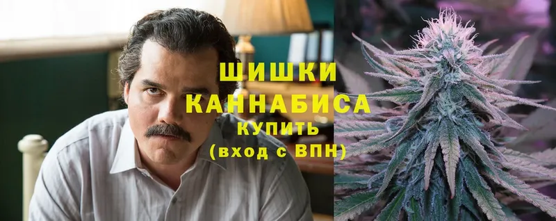 Каннабис Bruce Banner  купить наркоту  кракен ONION  Белая Калитва 